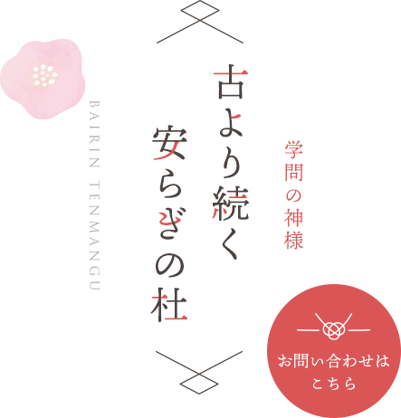 古より続く安らぎの杜