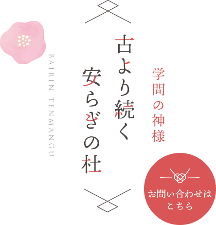 古より続く安らぎの杜