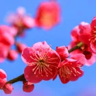 プライバシーポリシー